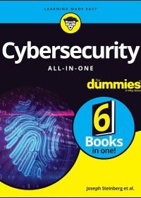 Cyber security dummies